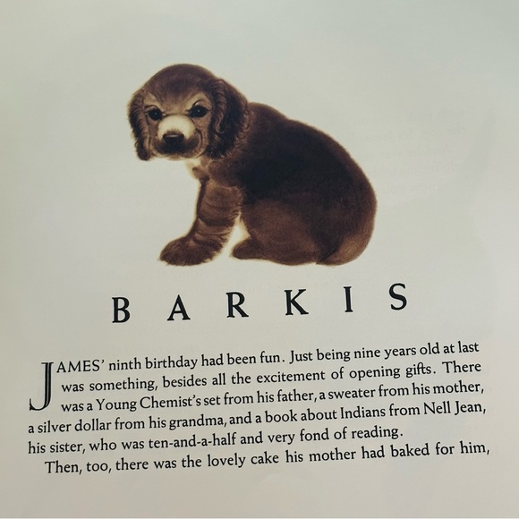 NEW Barkis Hardcover Classic Children’s Picture Book - Picture 5 of 11